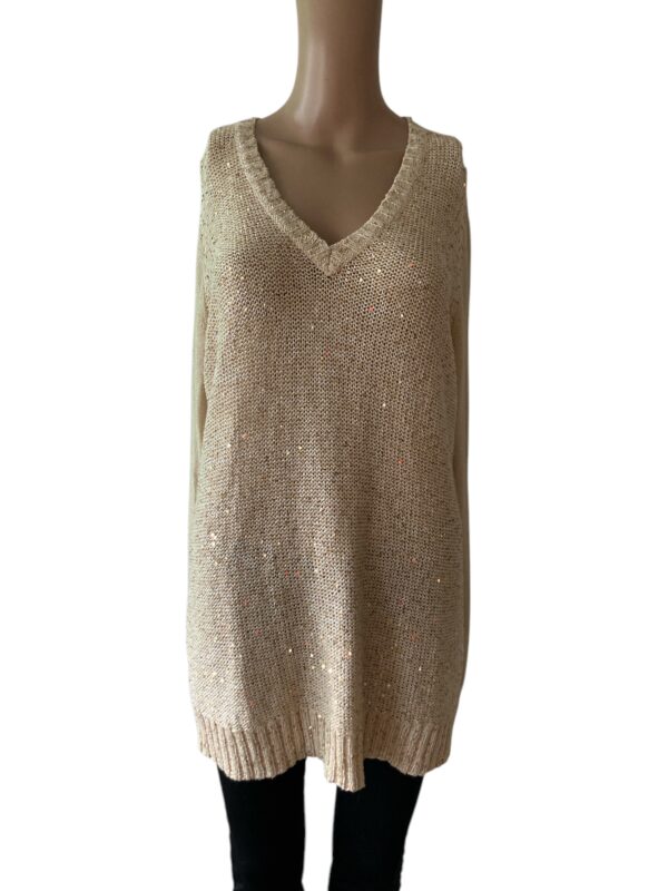 Charter Club Neutral Metallic XL V-Neck Sweater