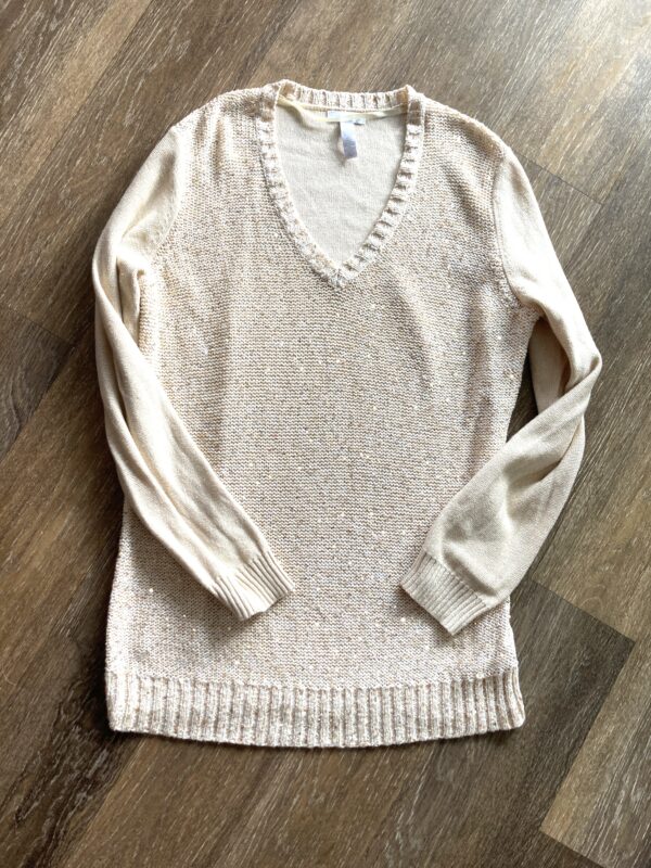 Charter Club Neutral Metallic XL V-Neck Sweater - Image 4